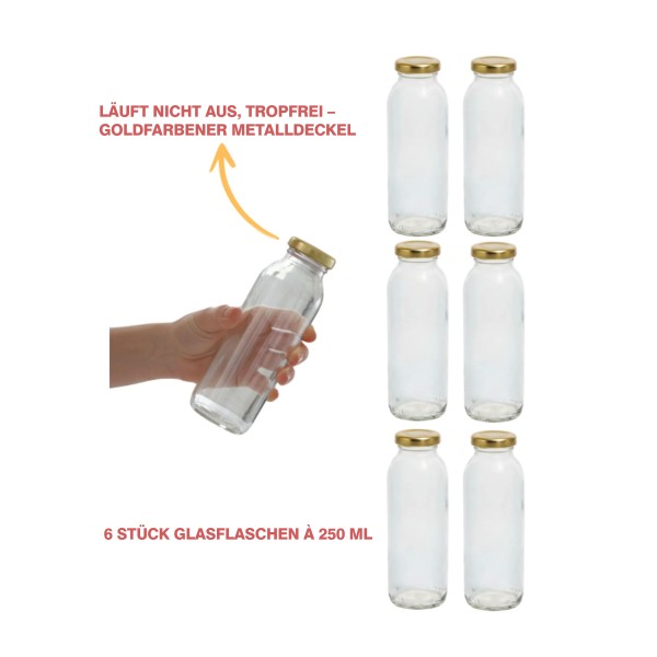 6er Set Glasflaschen 250 ml mit goldfarbenem Schraubdeckel – Saftflaschen - Smoothie